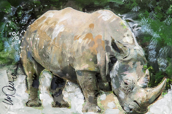 Rhino #2